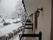 vid_s_balkona_nomera
